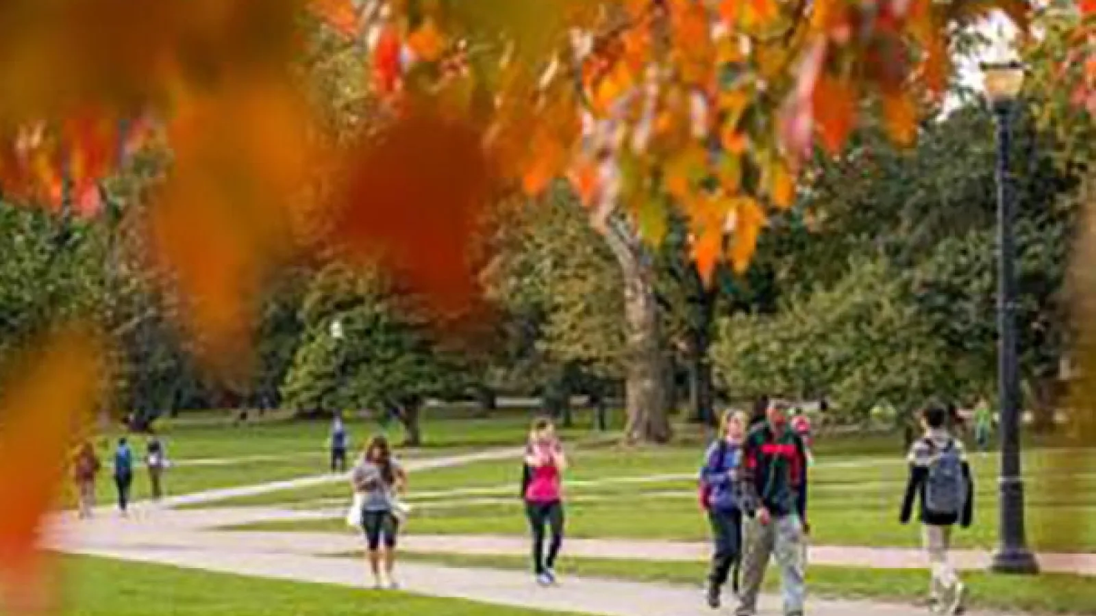 The Oval in Autumn
