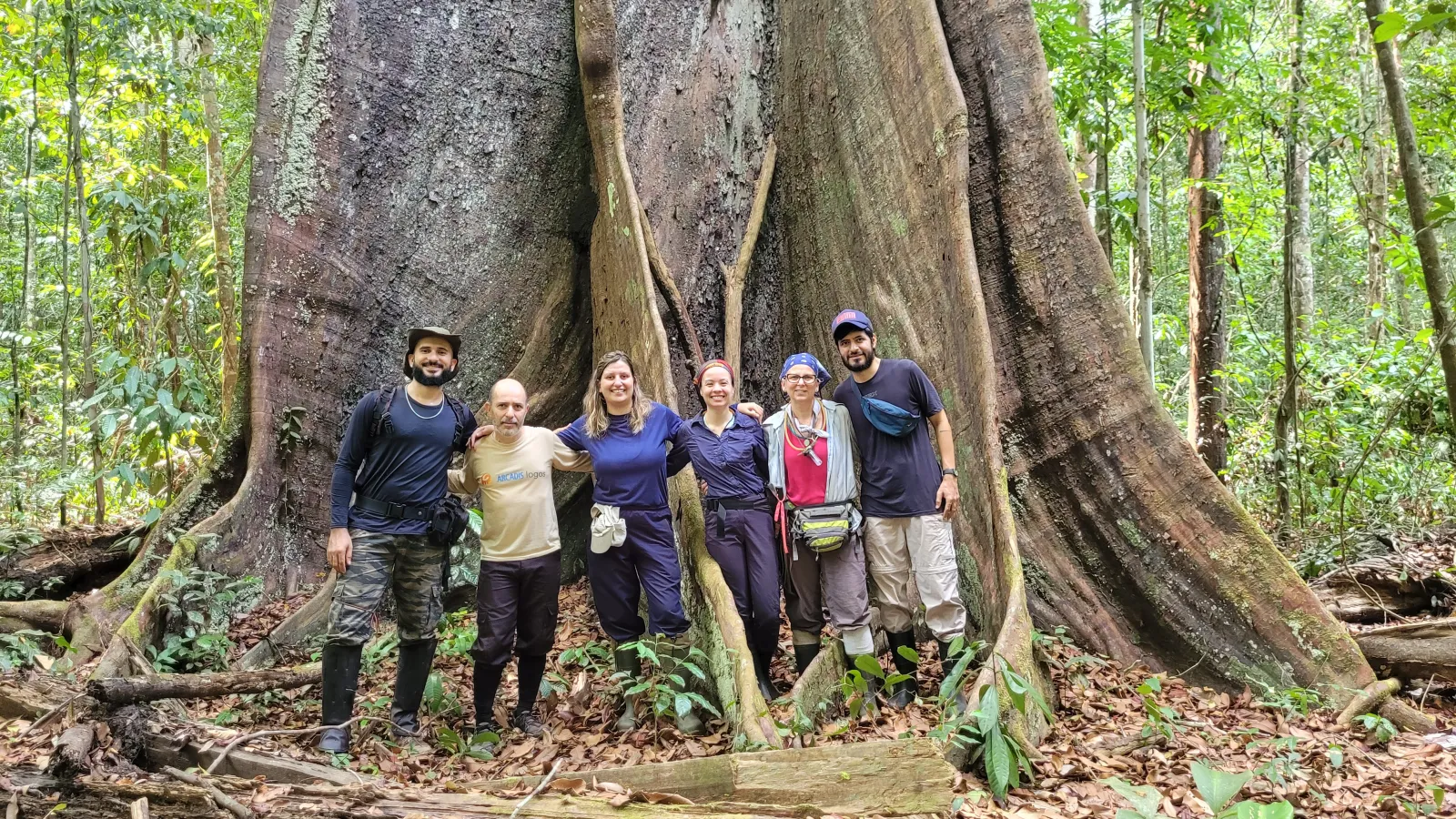 researchers by tree
