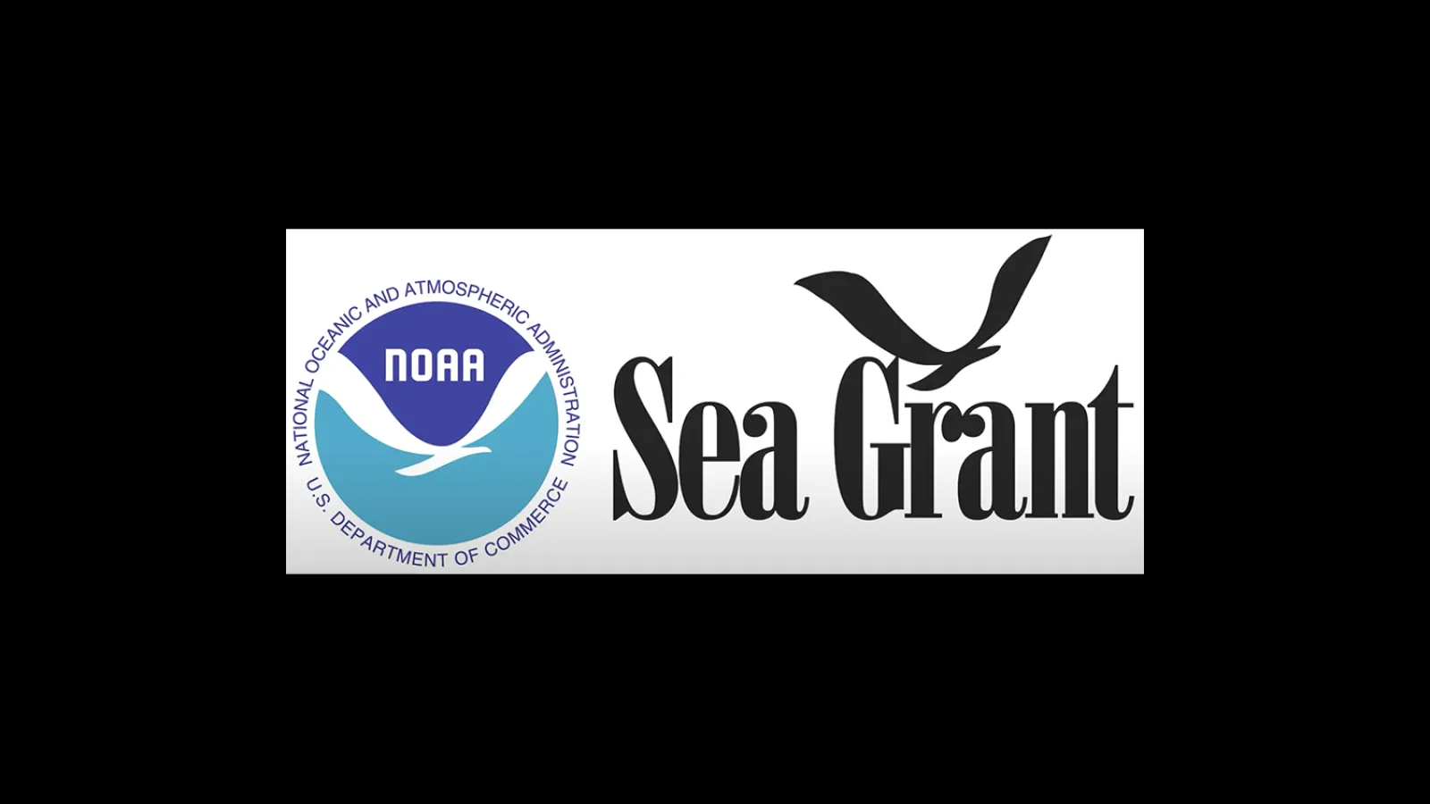 Sea Grant graphic inside black field