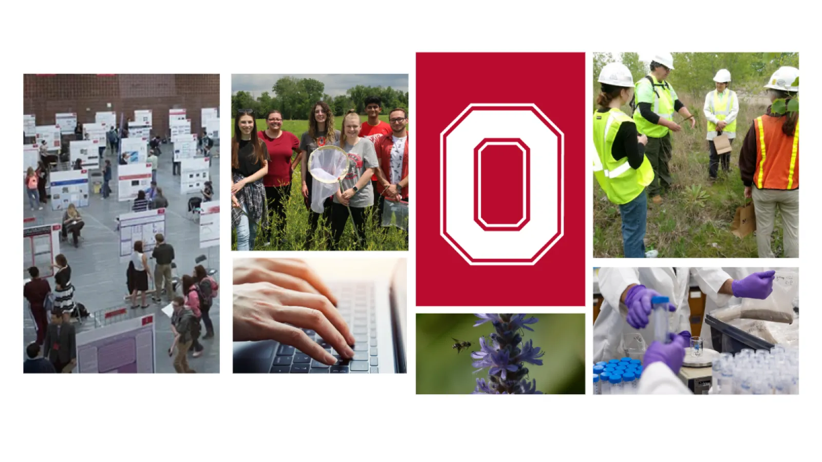 collage of various undergraduate research opportunities surrounding white block o on scarlet background
