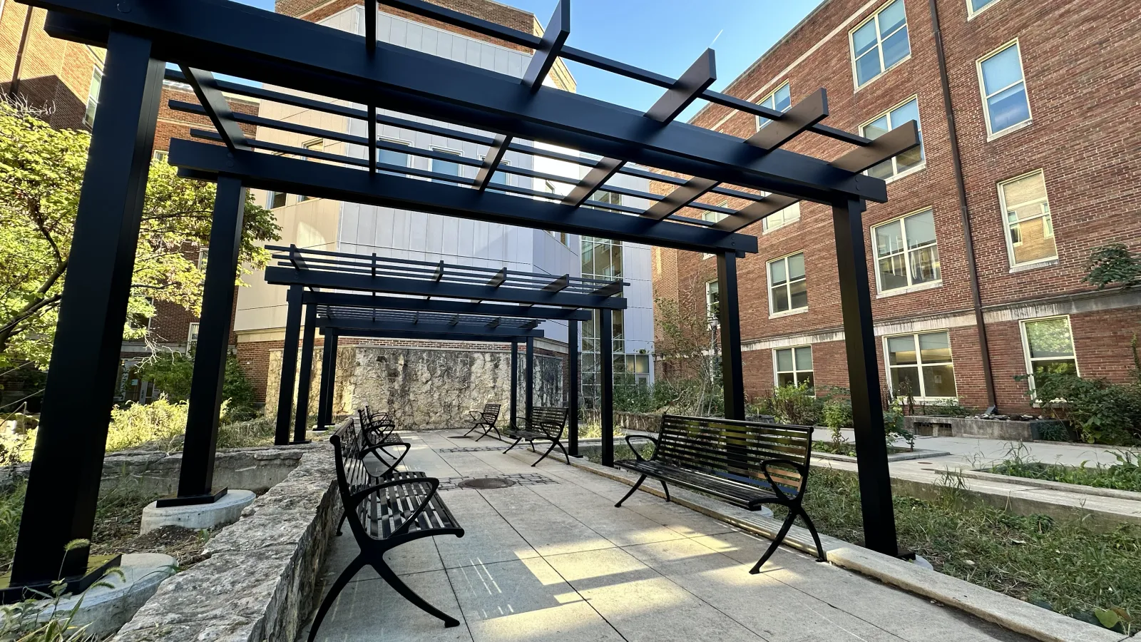 view from below of trellises in Jennings courtyard after installation in 2025