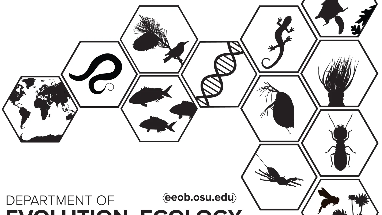 eeob 2016