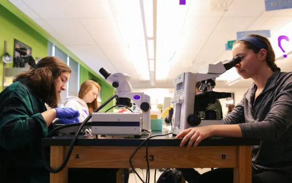 EE major (students using microscopes and performing dissections in EEOB3320 studio)