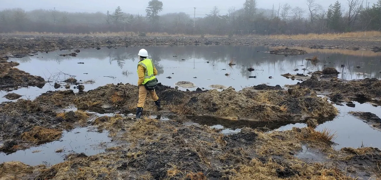 Julie Busa, PhD examines recent earthwork at recently restored wetlands on former cranberry bog