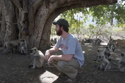Andrew York-Calinger, surrounded by Langurs, crouches on the ground