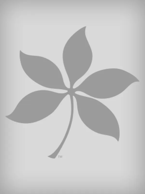 gray buckeye leaf on gray background indicating no image available for user profile