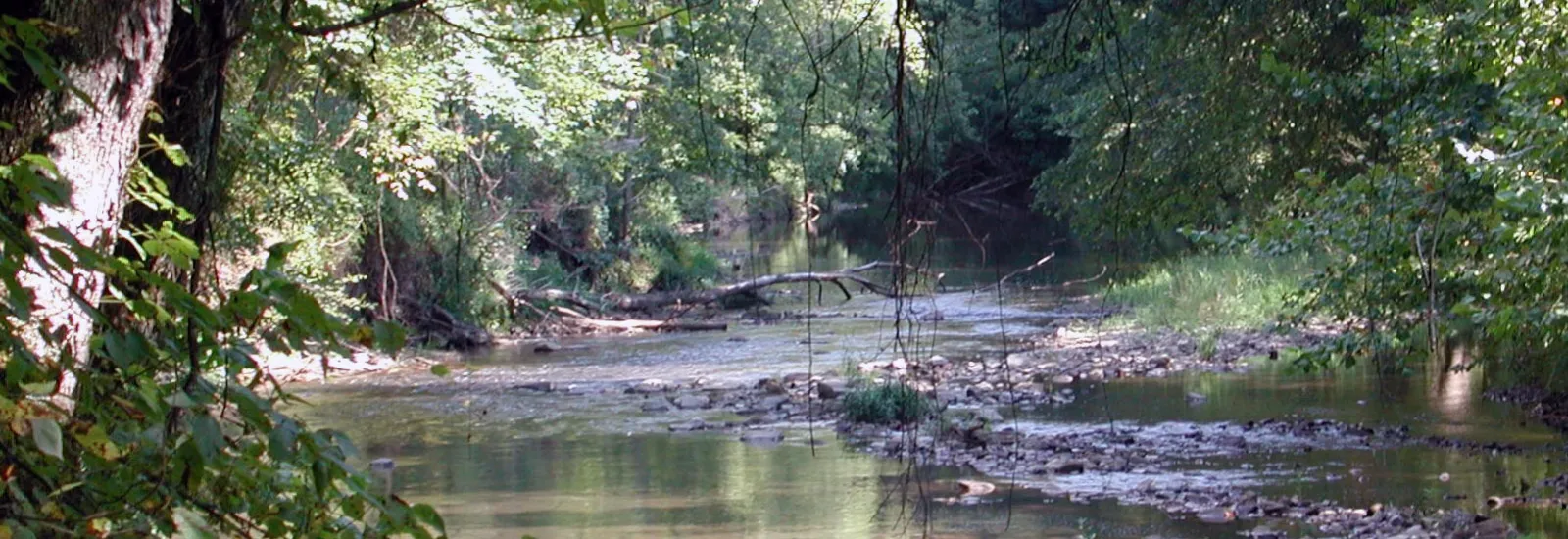 Clear Creek Metro Park